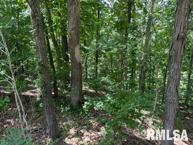 000 Wagon Creek Loop, Creal Springs, IL 62922 - #2
