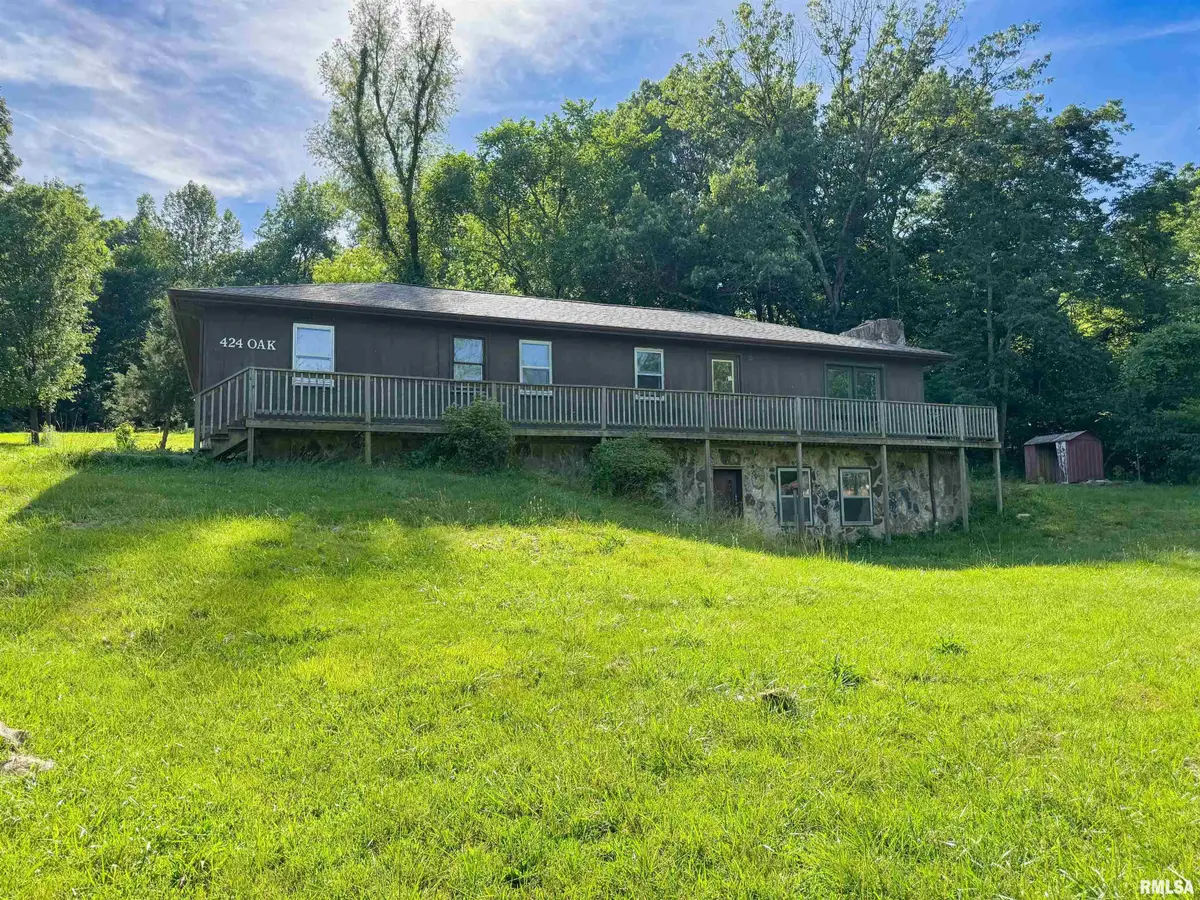424 Oak Street, Cobden, IL 62920 - #1
