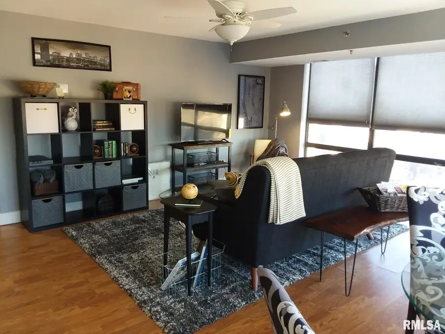 125 SW Jefferson Street #W16C, Peoria, IL 61602 - #2