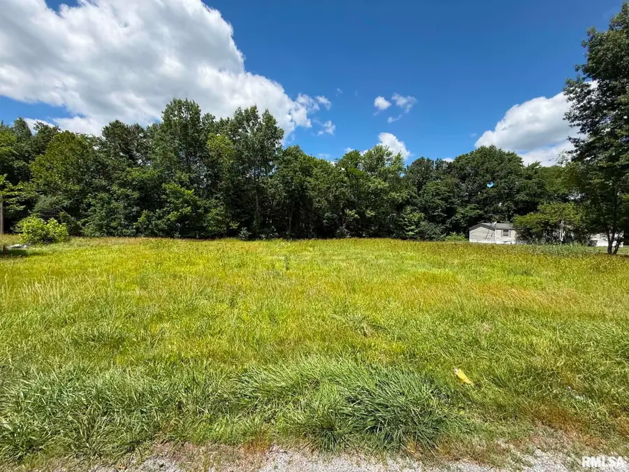 0000 Lincoln Street, Colp, IL 62921 - #3