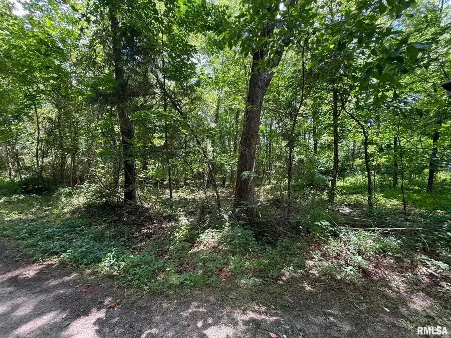 0000 Pump Station Street, Blairsville, IL 62918 - #2