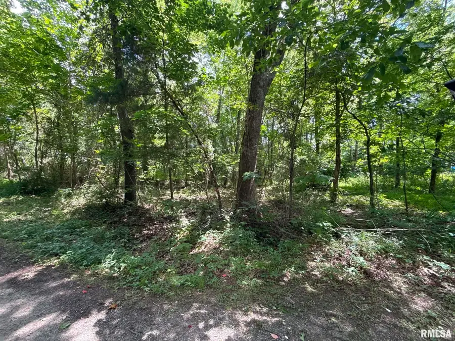 0000 Pump Station Street, Blairsville, IL 62918 - #3