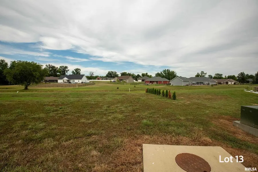 1303 Wayne Avenue, Marion, IL 62959 - #2
