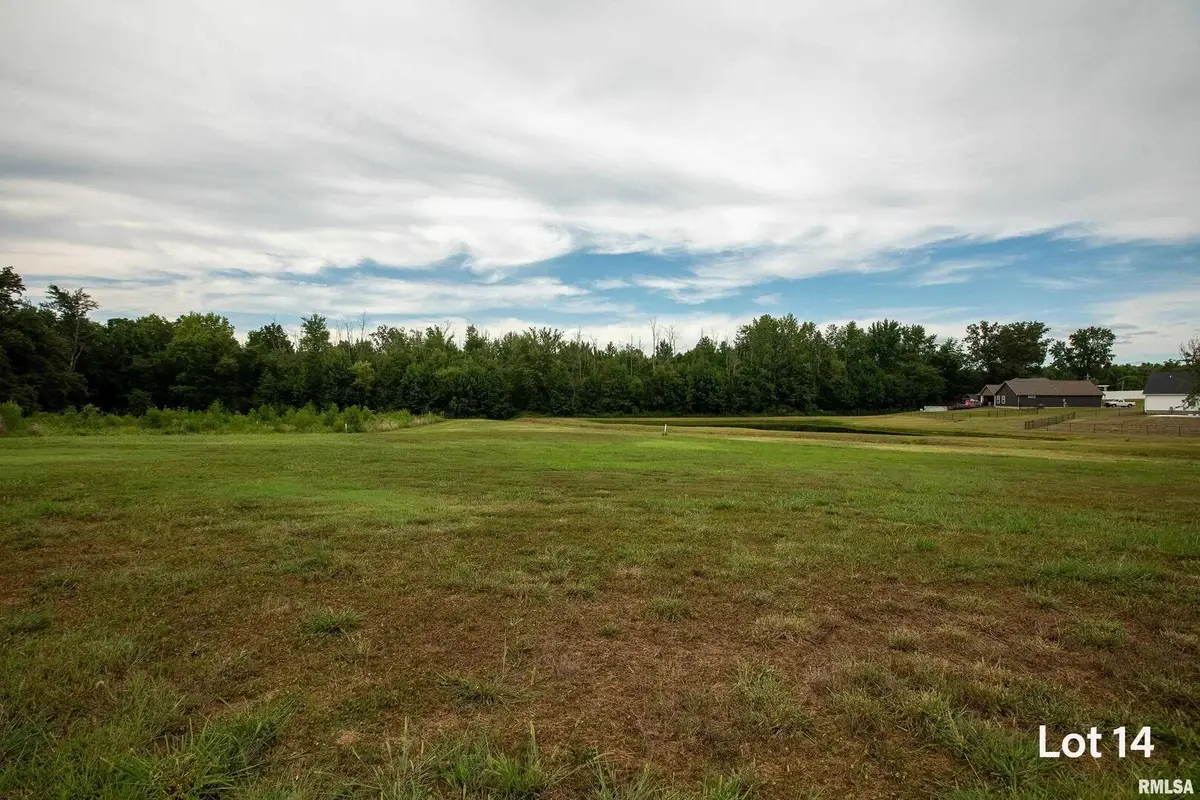 1301 Wayne Avenue, Marion, IL 62959 - #1
