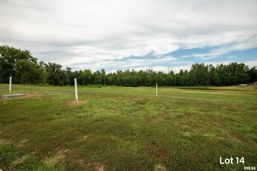 1301 Wayne Avenue, Marion, IL 62959 - #2