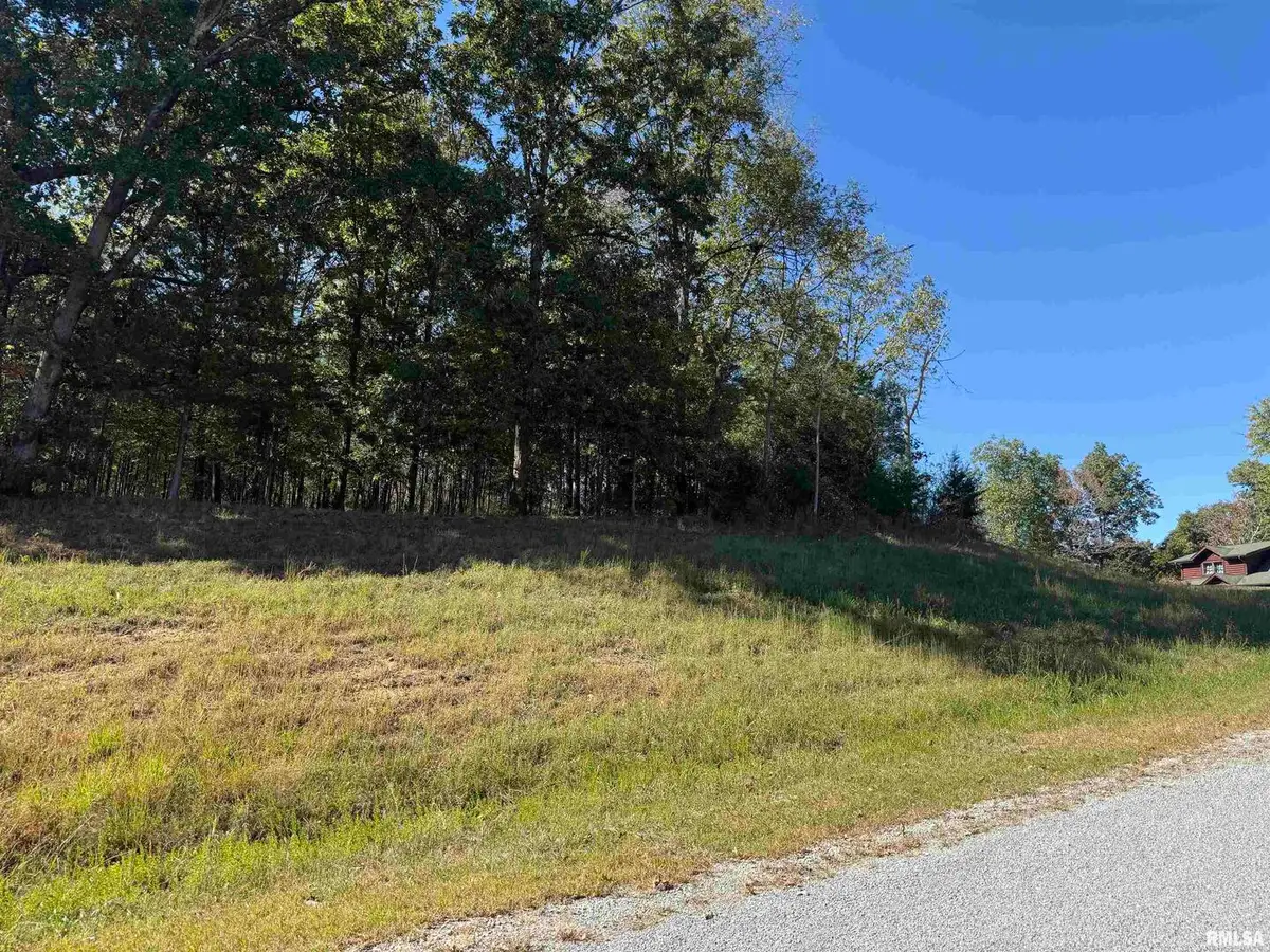 0000 Clifty Lane, Goreville, IL 62939 - #1