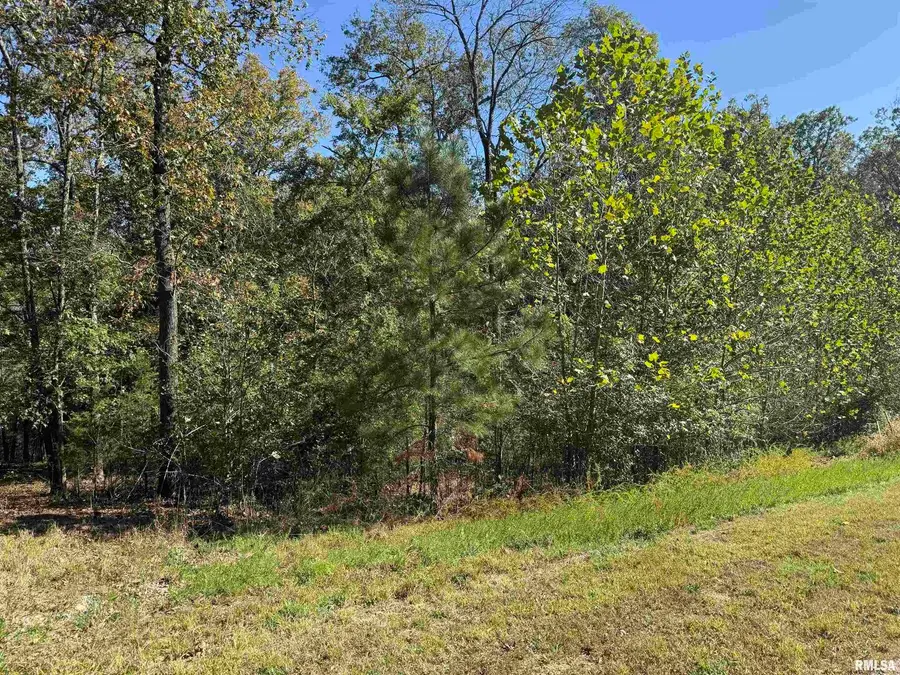0000 Clifty Lane, Goreville, IL 62939 - #3