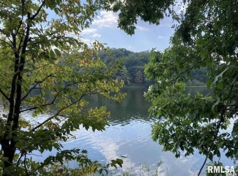 Lot 148 and 501 Parrish Ridge Lane, Goreville, IL 62939 - #2