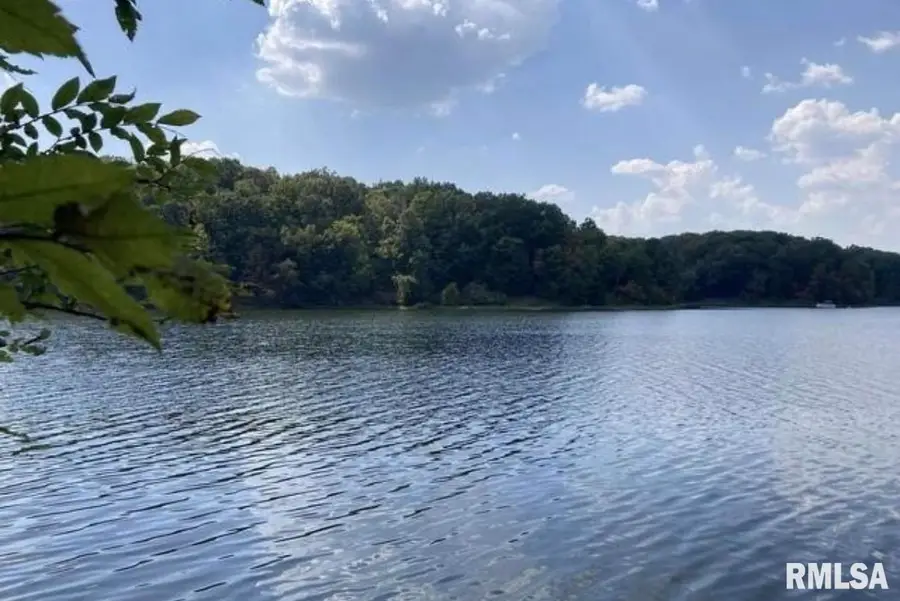 Lot 148 and 501 Parrish Ridge Lane, Goreville, IL 62939 - #3