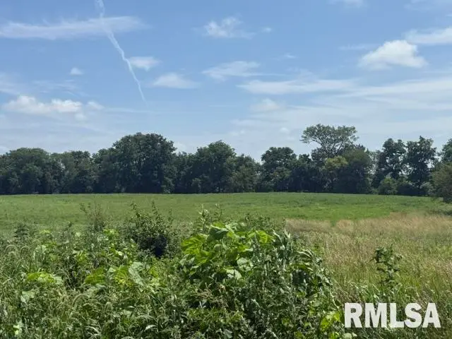 14312 Appenzeller Road, Mackinaw, IL 61755 - #3