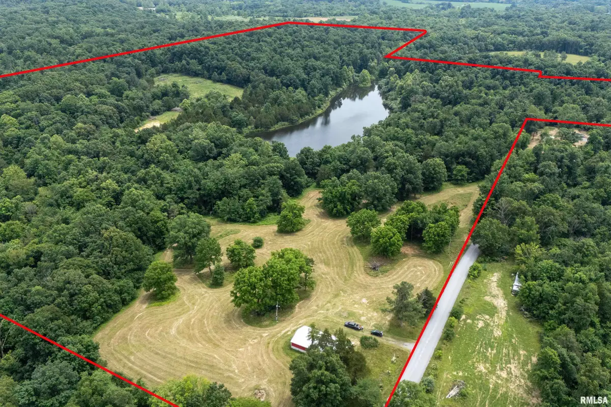 16880 Malone Road, Thompsonville, IL 62890 - #1