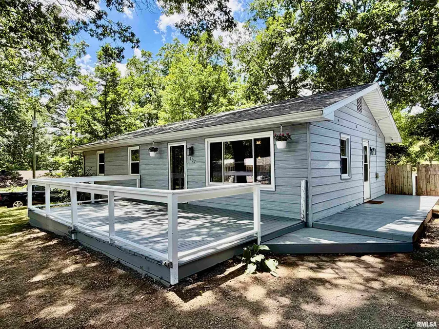107 N Acre Lane, Jonesboro, IL 62952-0000 - #2