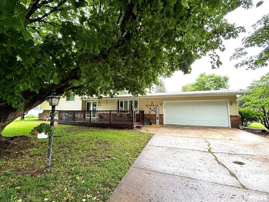 106 Palm Street, Canton, IL 61520 - #2