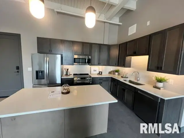 1001 SW Adams Street #303, Peoria, IL 61602 - #2