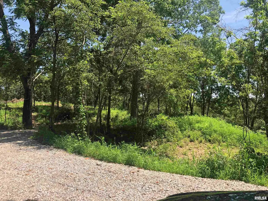 Lot 1 Mckee Road, Peoria, IL 61607 - #2