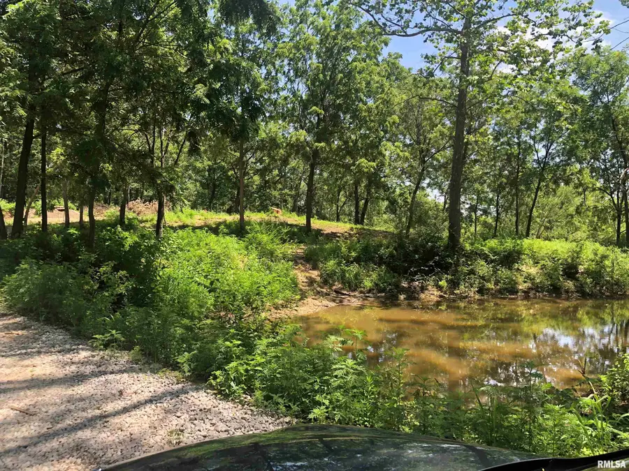 Lot 1 Mckee Road, Peoria, IL 61607 - #3