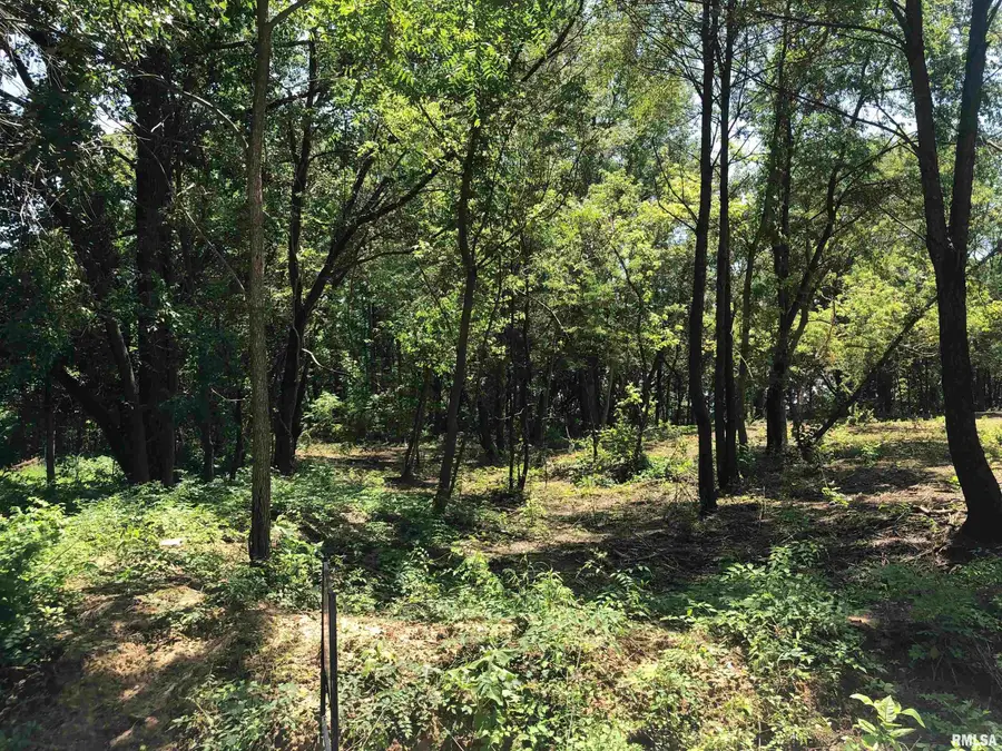 Lot 2 Mckee Road, Peoria, IL 61607 - #2