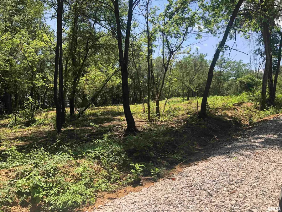 Lot 2 Mckee Road, Peoria, IL 61607 - #3