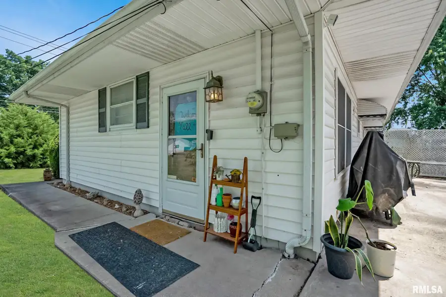 1004 Grand Avenue, Johnston City, IL 62951 - #3