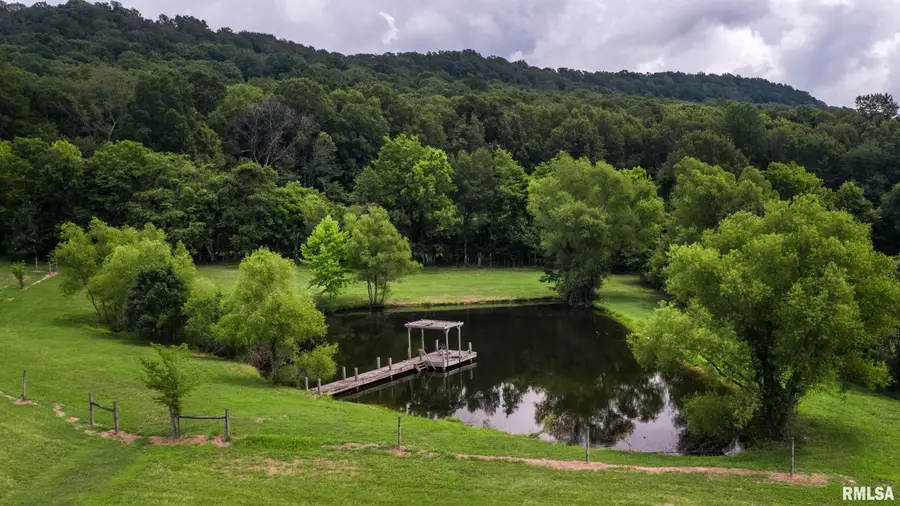 10891 Lick Creek Road, Buncombe, IL 62912 - #2