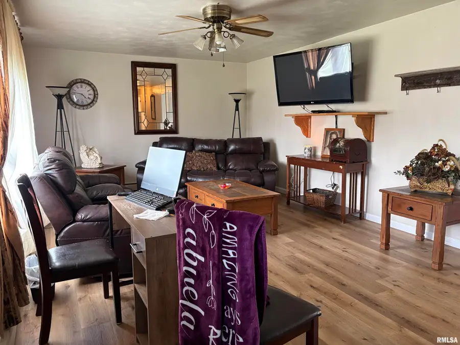 107 Deborann Drive, Carrier Mills, IL 62917 - #3