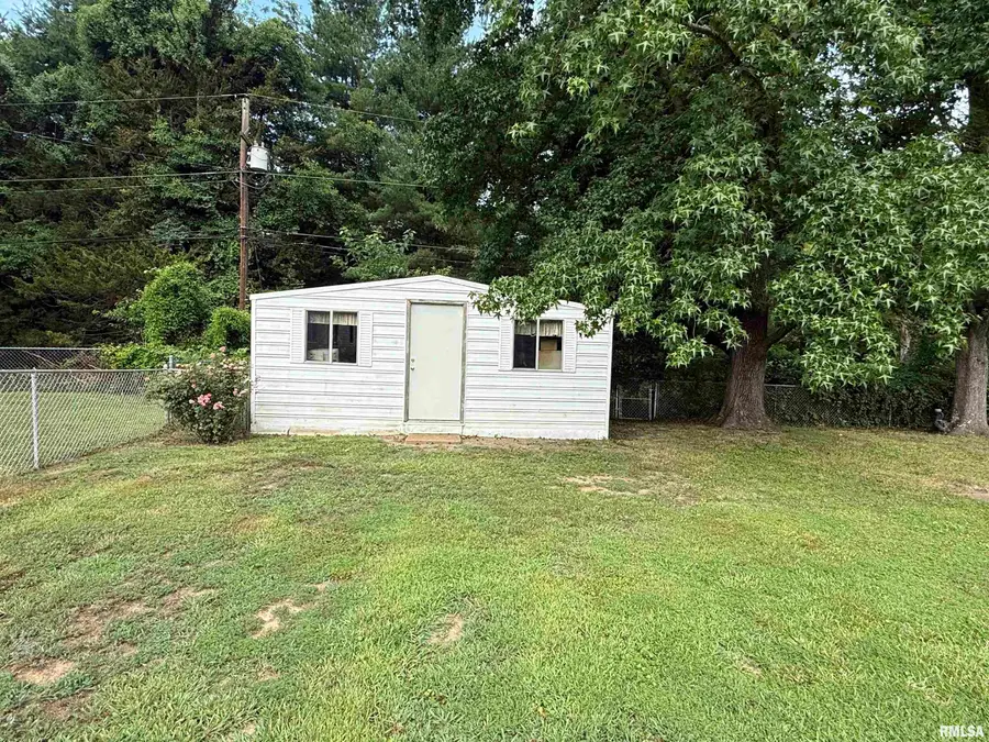 1223 N 16th Street, Murphysboro, IL 62966 - #3