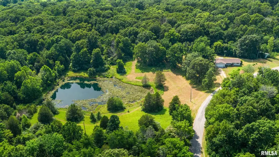 17209 Canaville Road, Creal Springs, IL 62922 - #2
