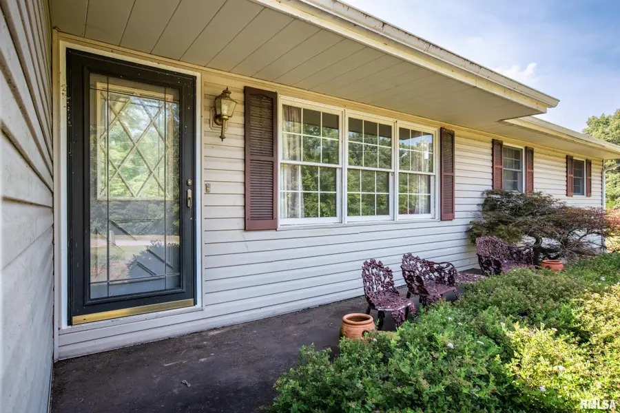 17209 Canaville Road, Creal Springs, IL 62922 - #3