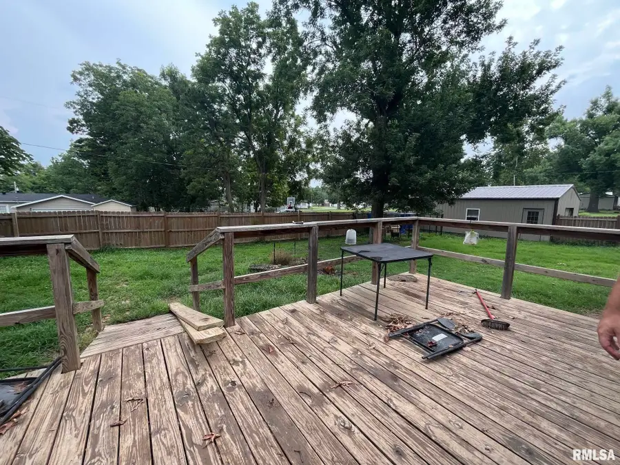 704 Briddick Street, Eldorado, IL 62930 - #3
