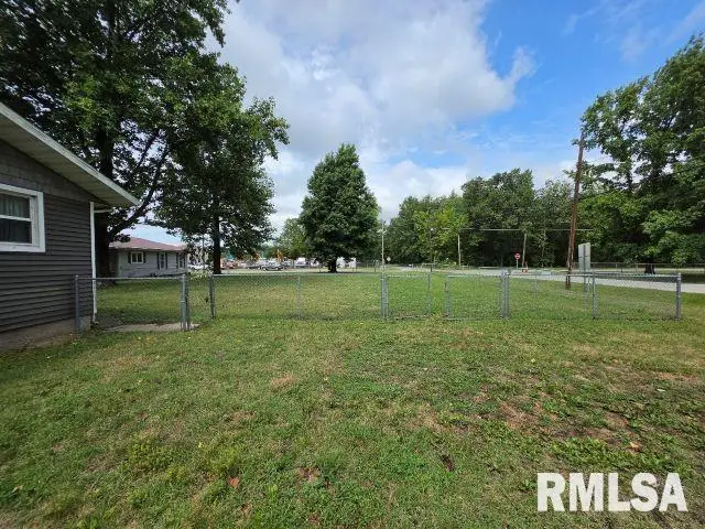 16938 Route 149 Road, Bush, IL 62924 - #2