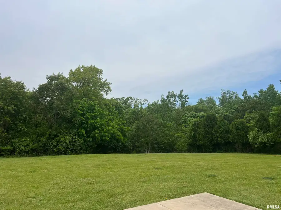 LOT 1 N Queen Frances Lane, Peoria, IL 61615 - #3