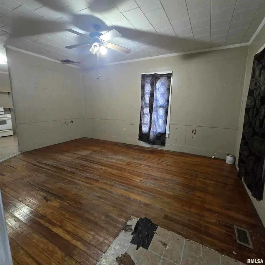 532 N Bush Avenue, Hurst, IL 62949 - #3