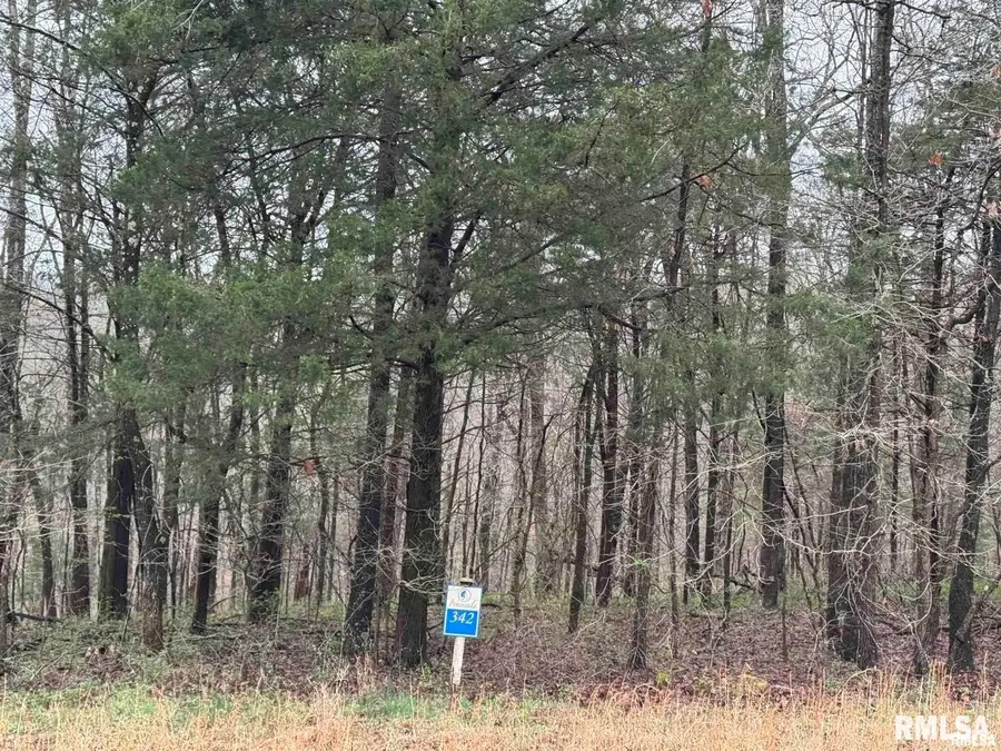 Lot 341 & 342 Clifty Lane, Goreville, IL 62939 - #2