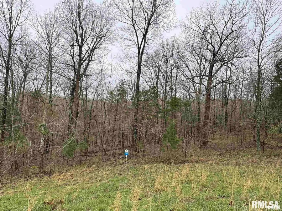 Lot 341 & 342 Clifty Lane, Goreville, IL 62939 - #3