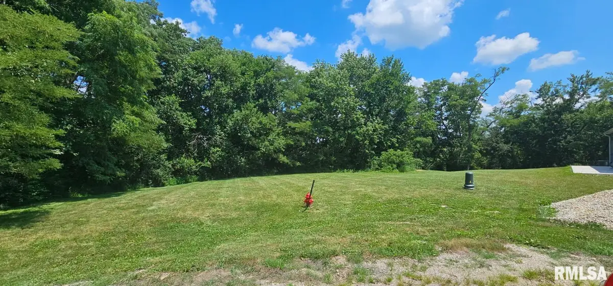 301 Cottonwood Court, Williamsfield, IL 61489 - #1