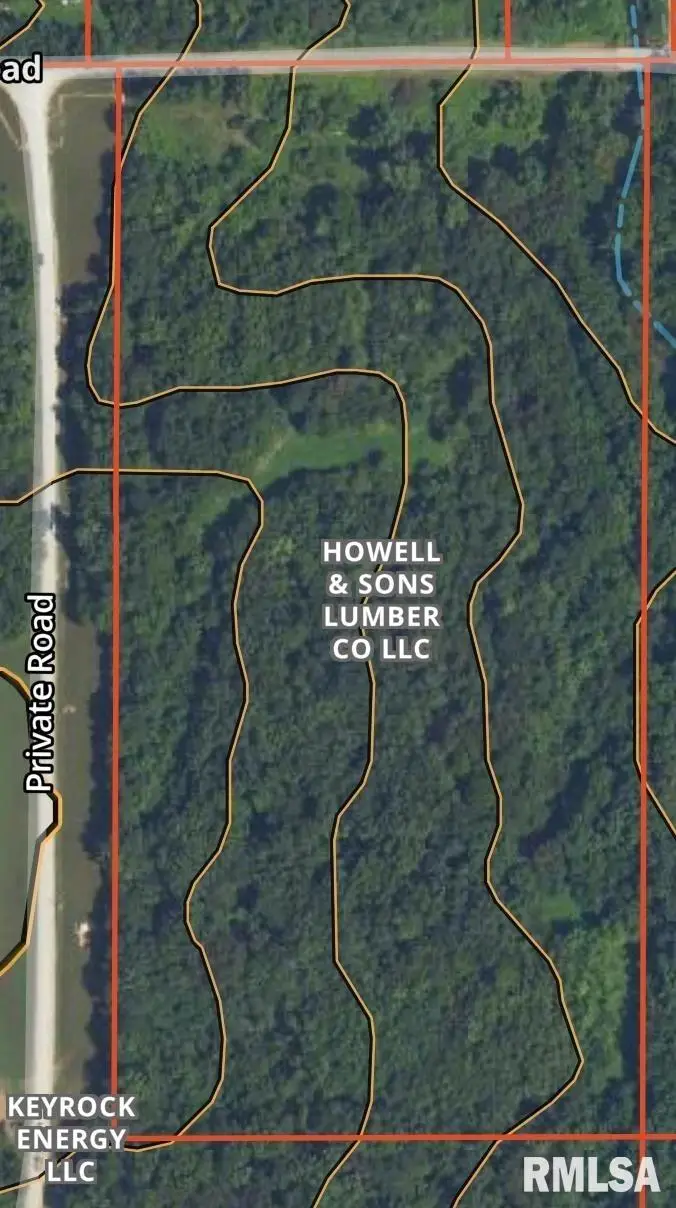 20283 Thorn Road, Thompsonville, IL 62890 - #1