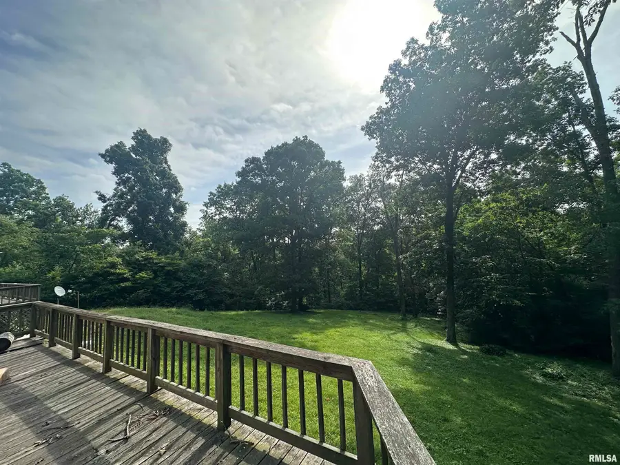 2 Carlock Road, Murphysboro, IL 62966 - #3