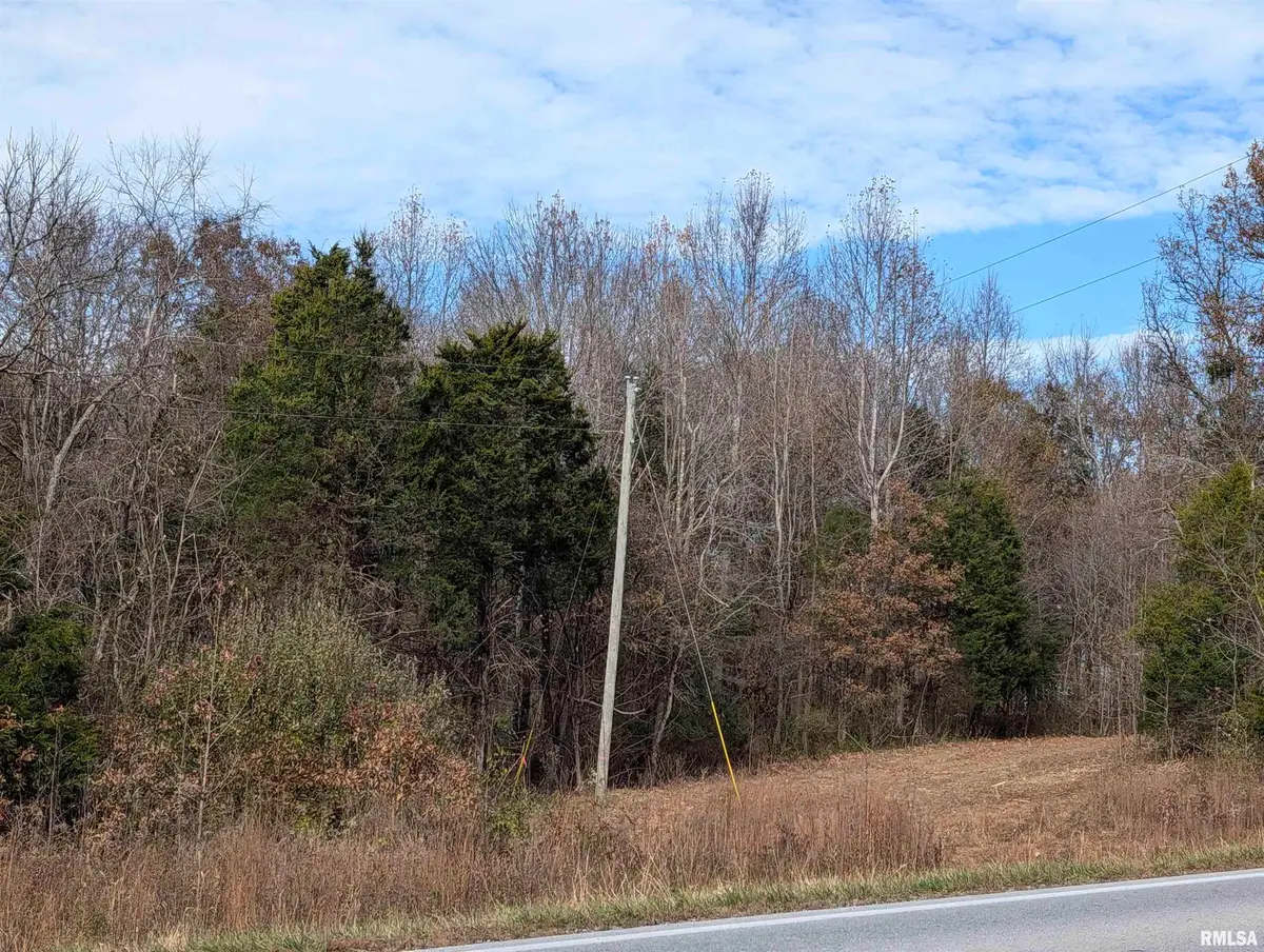 000 State Highway 145 N Highway, Stonefort, IL 62987 - #1