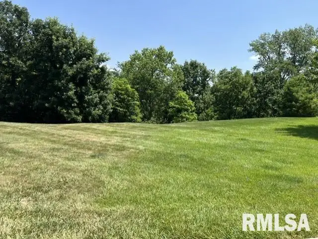 Lot 12 N Walnut Bend Drive, Peoria, IL 61614 - #1