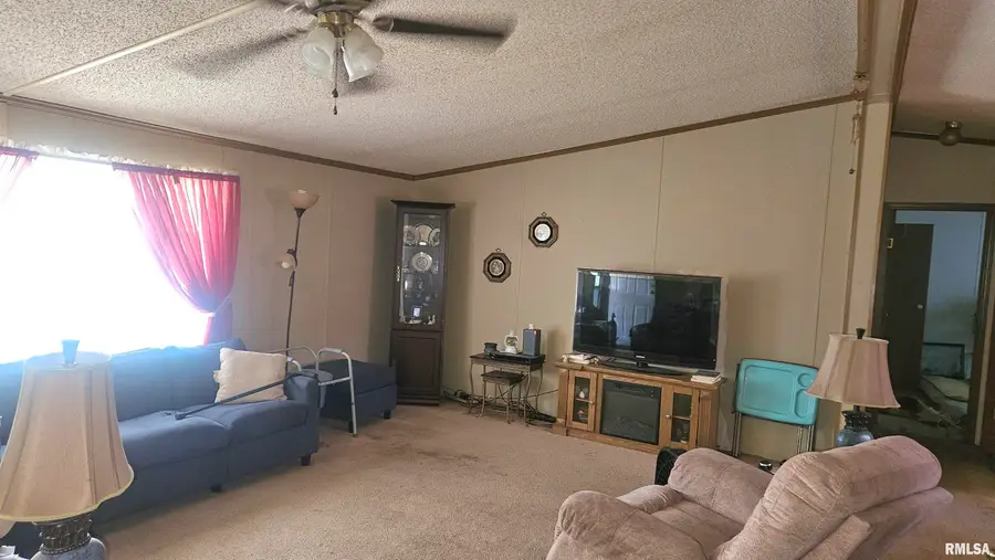 895 W Maple Street, Canton, IL 61520 - #3