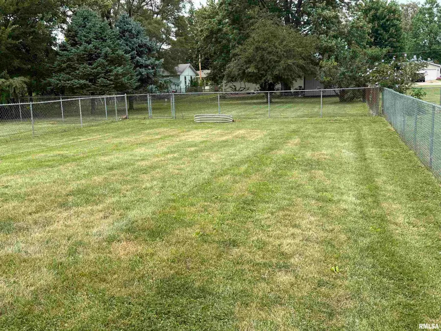 1215 E Chestnut Street, Canton, IL 61520 - #2