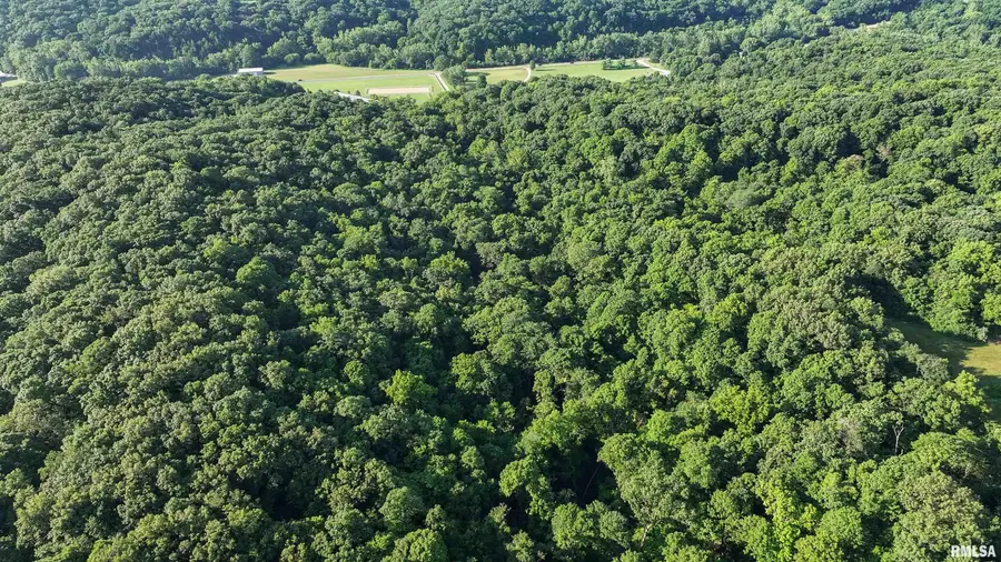 00 Singing Woods Road, Edelstein, IL 61526 - #3