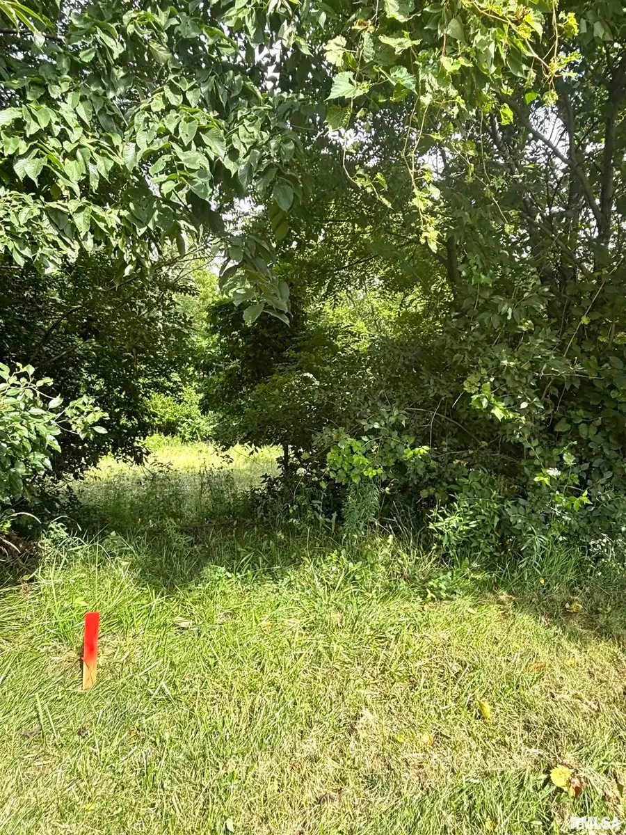 107 Scarlet Court, Washington, IL 61571 - #2