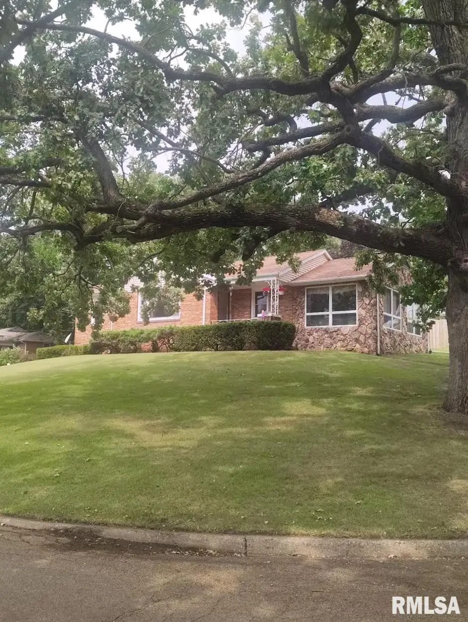 205 N Sycamore Terrace, Canton, IL 61520 - #1