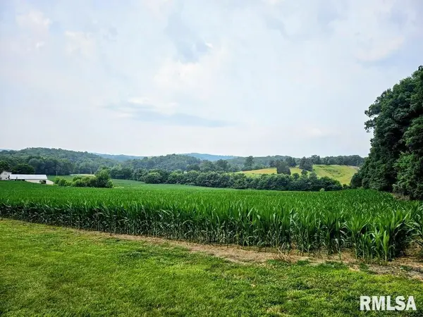 TBD Berryville Road, Jonesboro, IL 62952