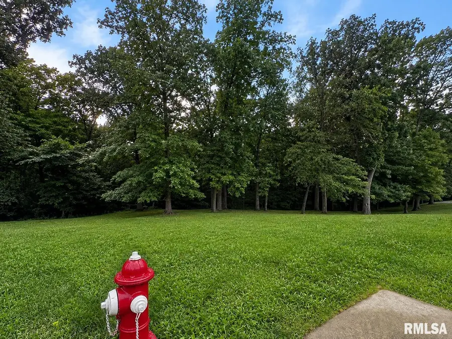 Lot 189 S Copperpoint Drive, Dunlap, IL 61525 - #2