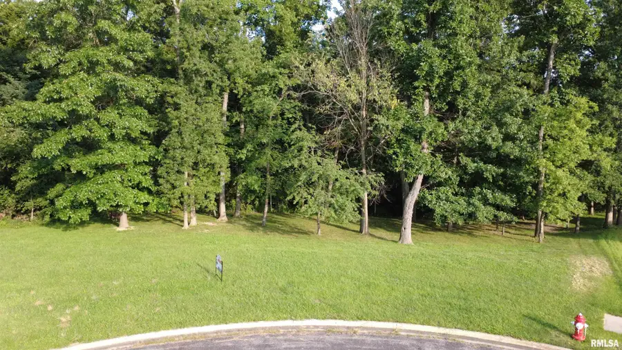 Lot 189 S Copperpoint Drive, Dunlap, IL 61525 - #3