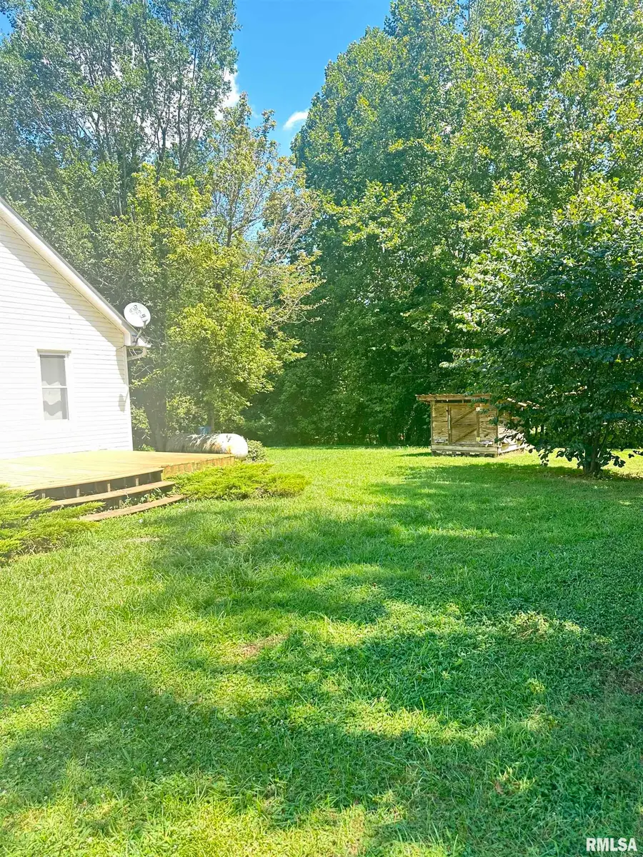 419 Cook Avenue, Jonesboro, IL 62952 - #3