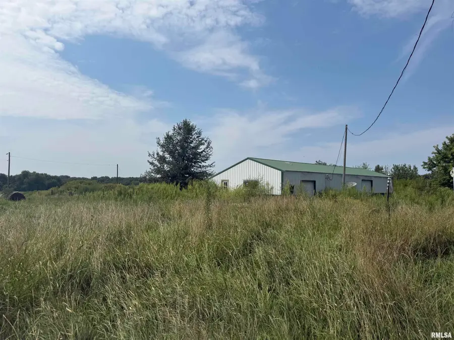 10765 N Beadles Road, Ipava, IL 61441 - #2