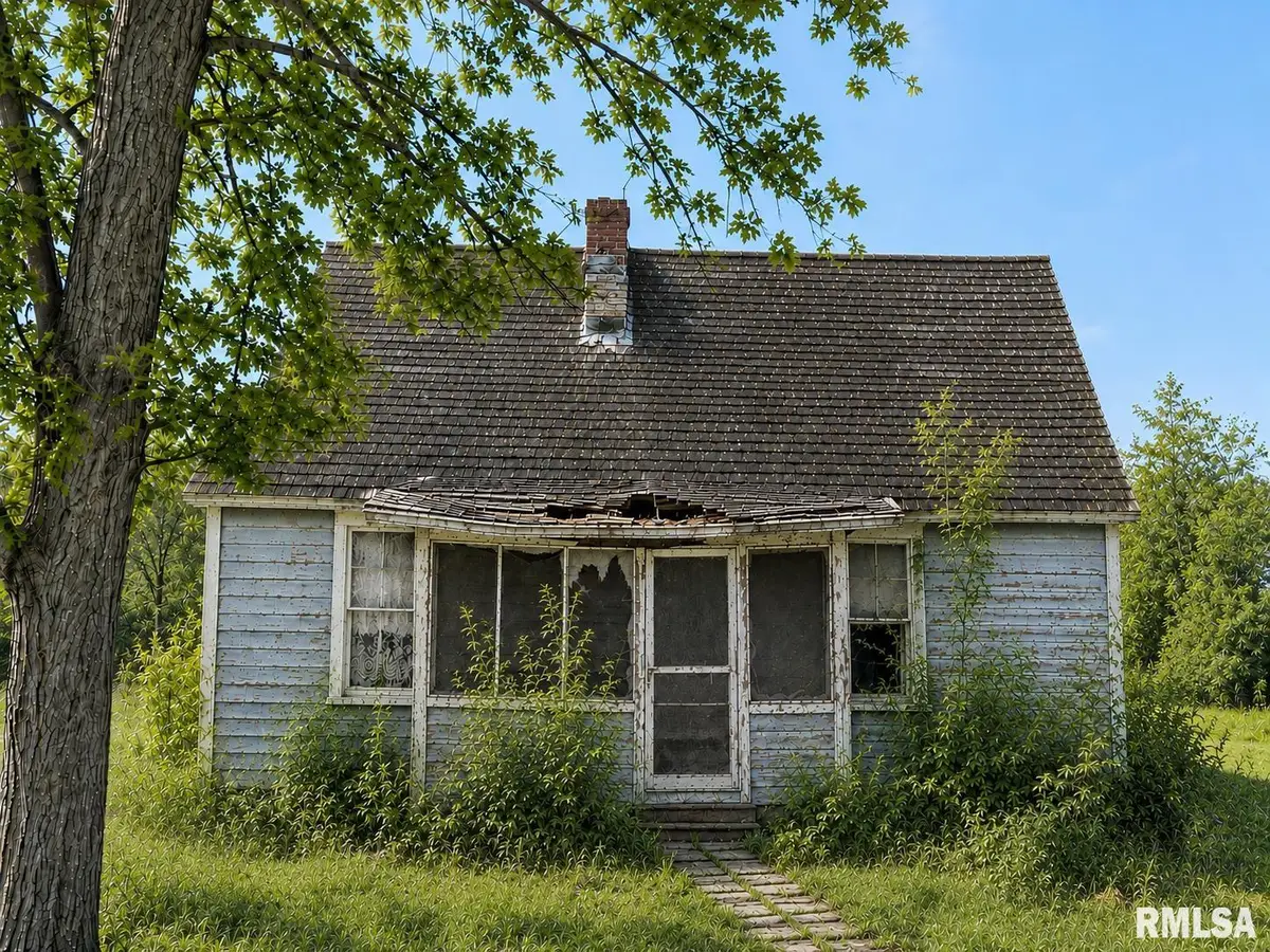 816 S Coleman Street, Havana, IL 62644 - #1